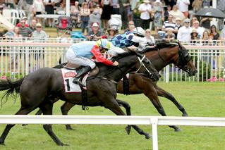 Hello It's Me (NZ) joins the leader board with a victory in the Group 2 Stella Artois Royal Stakes. Photo: Trish Dunell